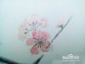 時(shí)光的痕跡 過(guò)期化妝品與文藝畫(huà)的詩(shī)意邂逅